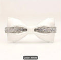 Bow Tie with Sparkling