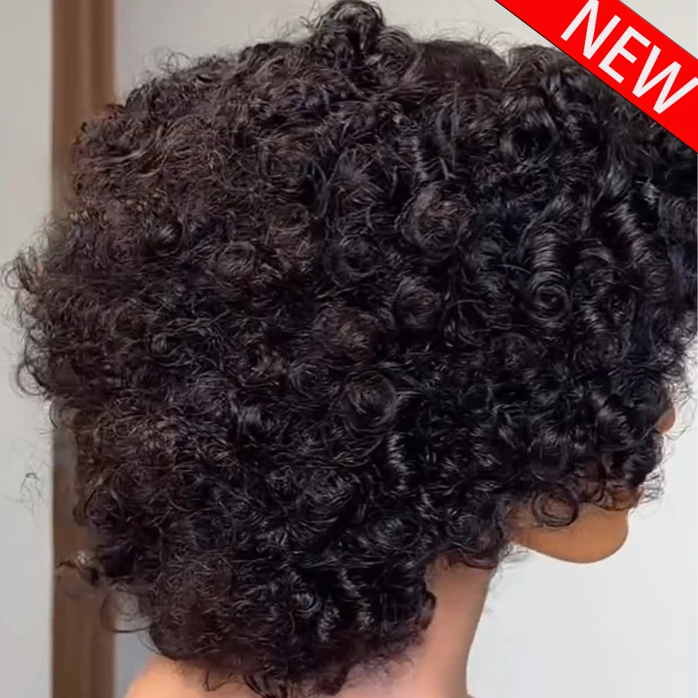 100% Human Hair 400 Density Curly Wig 13x6 HD Lace Frontal Wigs For Women 10 Inch Pre Plucked 13x4 Lace Frontal Wig Pre Plucked